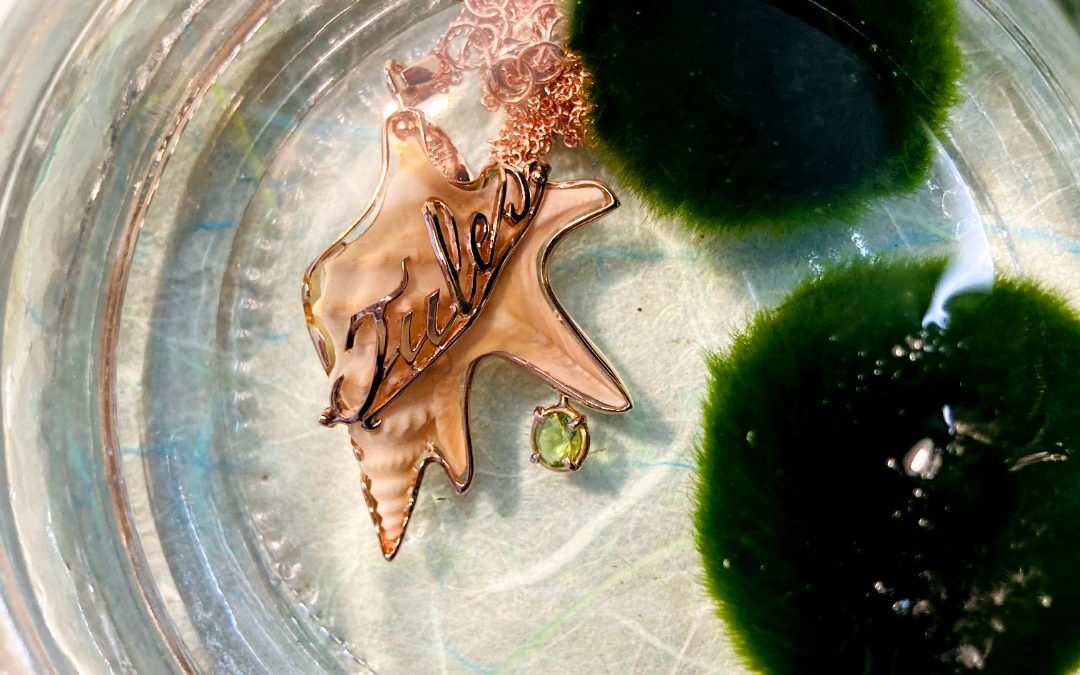 Limited Edition Shell/Jewel on Request